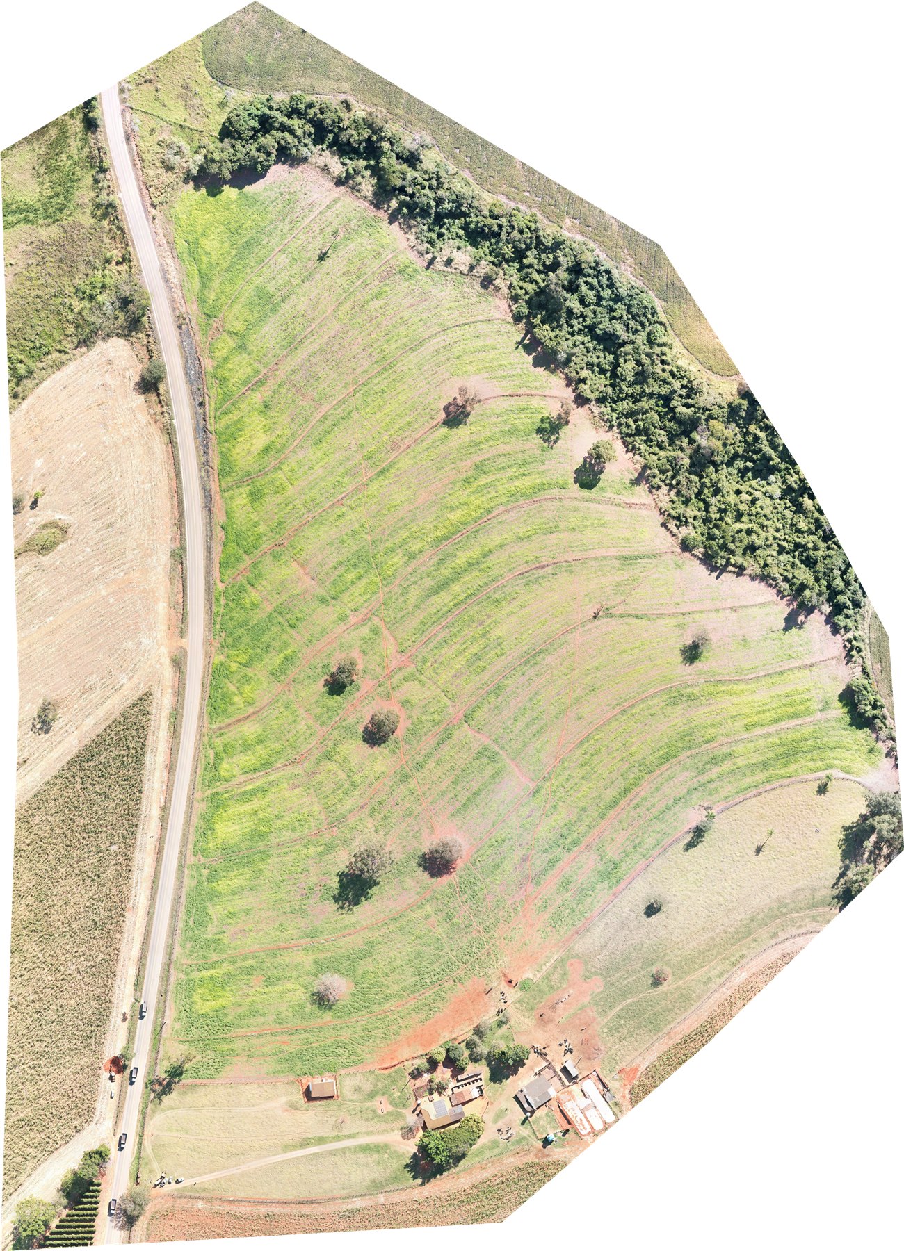Ortofoto de drone com resolução centimétrica